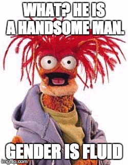 Pepe the Prawn - Gender is fluid | WHAT? HE IS A HANDSOME MAN. GENDER IS FLUID | image tagged in muppets,gender,crustacean | made w/ Imgflip meme maker