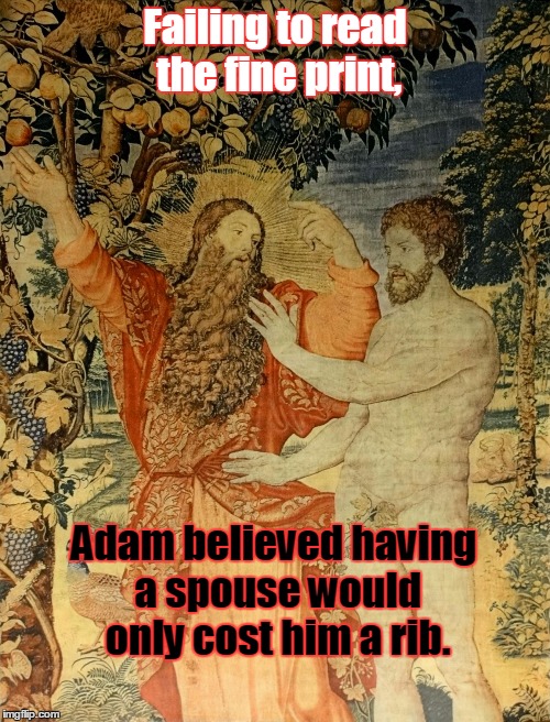 Adam and God | Failing to read the fine print, Adam believed having a spouse would only cost him a rib. | image tagged in adam and god | made w/ Imgflip meme maker
