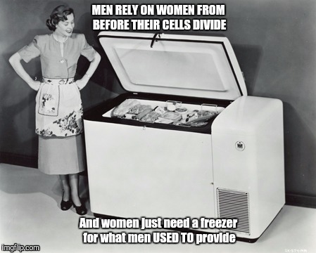 MEN RELY ON WOMEN FROM BEFORE THEIR CELLS DIVIDE And women just need a freezer for what men USED TO provide | image tagged in funny memes,true story,women | made w/ Imgflip meme maker