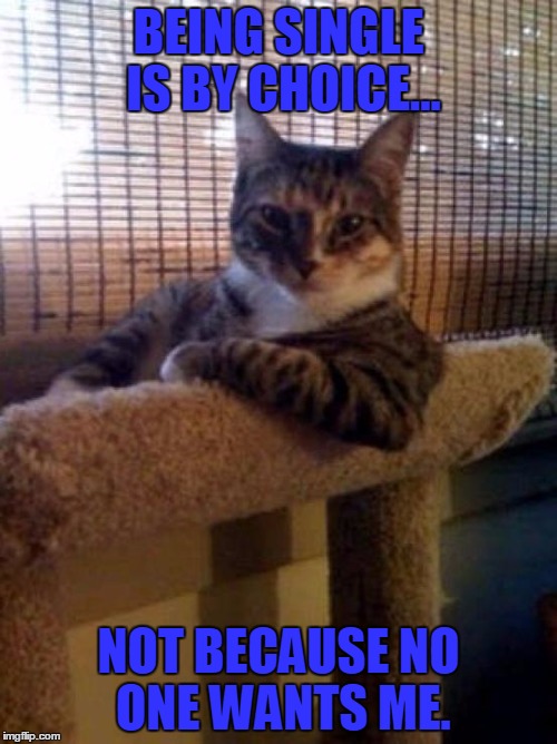 The Most Interesting Cat In The World | BEING SINGLE IS BY CHOICE... NOT BECAUSE NO ONE WANTS ME. | image tagged in memes,the most interesting cat in the world | made w/ Imgflip meme maker