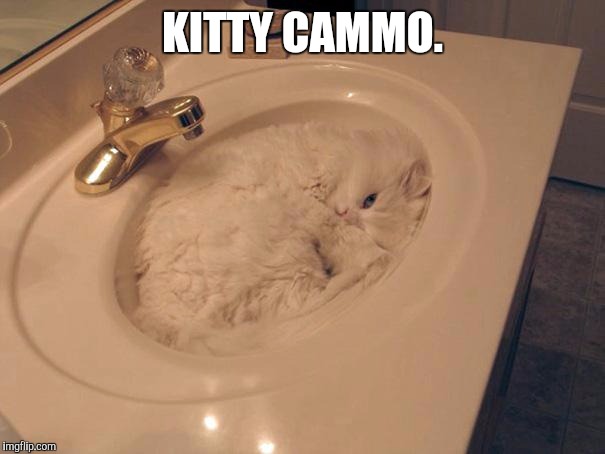 KITTY CAMMO. | made w/ Imgflip meme maker