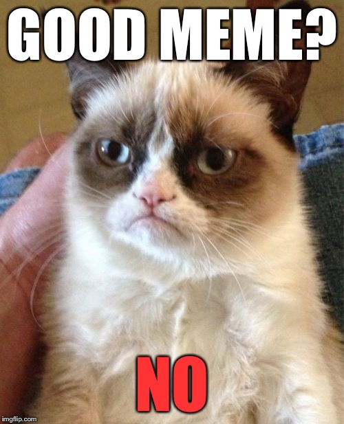 Grumpy Cat Meme | GOOD MEME? NO | image tagged in memes,grumpy cat | made w/ Imgflip meme maker