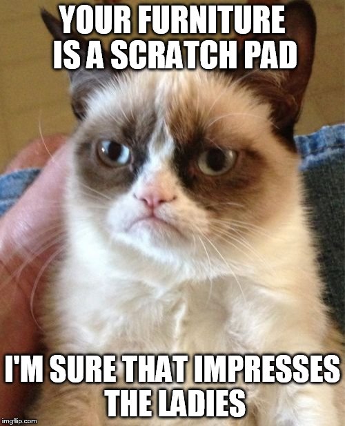 Grumpy Cat Meme | YOUR FURNITURE IS A SCRATCH PAD I'M SURE THAT IMPRESSES THE LADIES | image tagged in memes,grumpy cat | made w/ Imgflip meme maker