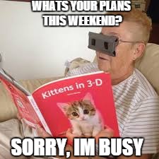 My Plans This Weekend | WHATS YOUR PLANS THIS WEEKEND? SORRY, IM BUSY | image tagged in grandma,kittens,3d,funny memes,busy,weekend | made w/ Imgflip meme maker