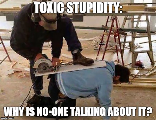stupid | TOXIC STUPIDITY: WHY IS NO-ONE TALKING ABOUT IT? | image tagged in stupid | made w/ Imgflip meme maker