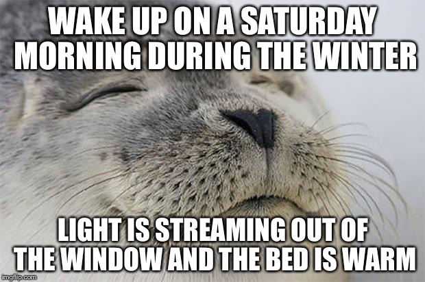 Satisfied Seal | WAKE UP ON A SATURDAY MORNING DURING THE WINTER LIGHT IS STREAMING OUT OF THE WINDOW AND THE BED IS WARM | image tagged in memes,satisfied seal | made w/ Imgflip meme maker