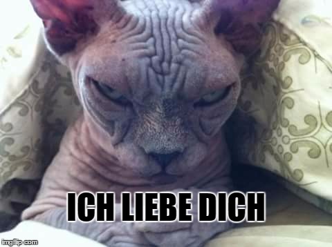 Ich liebe dich | ICH LIEBE DICH | image tagged in cat sidious,memes | made w/ Imgflip meme maker