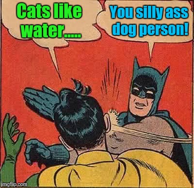 Batman Slapping Robin Meme | Cats like water..... You silly ass dog person! | image tagged in memes,batman slapping robin | made w/ Imgflip meme maker