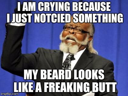 Too Damn High Meme | I AM CRYING BECAUSE I JUST NOTCIED SOMETHING MY BEARD LOOKS LIKE A FREAKING BUTT | image tagged in memes,too damn high | made w/ Imgflip meme maker
