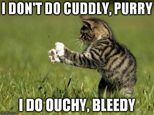 Attack Cat | I DON'T DO CUDDLY, PURRY I DO OUCHY, BLEEDY | image tagged in cat,ouchy,bleedy,claws | made w/ Imgflip meme maker