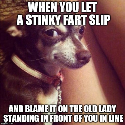 WHEN YOU LET A STINKY FART SLIP AND BLAME IT ON THE OLD LADY STANDING IN FRONT OF YOU IN LINE | image tagged in when you | made w/ Imgflip meme maker