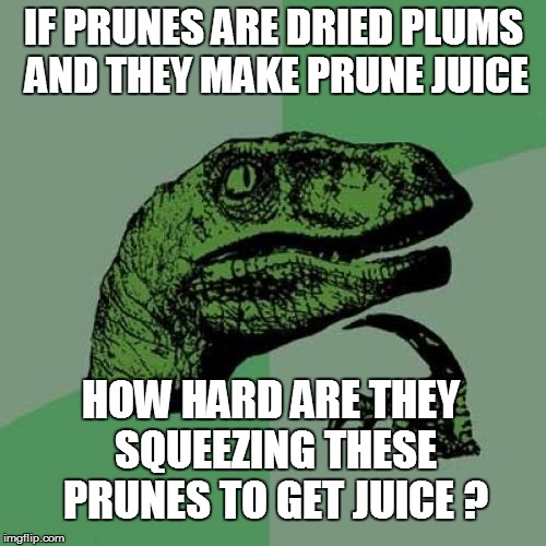 Philosoraptor Meme | IF PRUNES ARE DRIED PLUMS AND THEY MAKE PRUNE JUICE HOW HARD ARE THEY SQUEEZING THESE PRUNES TO GET JUICE ? | image tagged in memes,philosoraptor | made w/ Imgflip meme maker