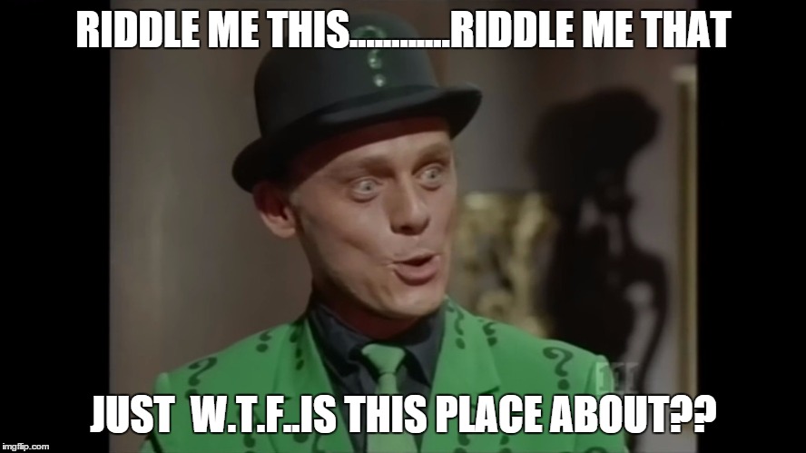 RIDDLE ME THIS............RIDDLE ME THAT JUST  W.T.F..IS THIS PLACE ABOUT?? | made w/ Imgflip meme maker