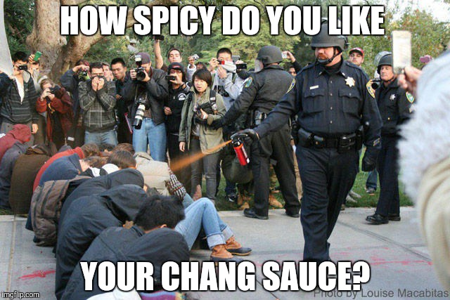 Pepper spray cop | HOW SPICY DO YOU LIKE YOUR CHANG SAUCE? | image tagged in pepper spray cop | made w/ Imgflip meme maker