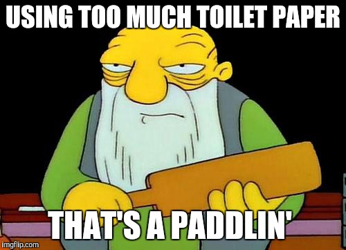 That's a paddlin' | USING TOO MUCH TOILET PAPER THAT'S A PADDLIN' | image tagged in that's a paddlin' | made w/ Imgflip meme maker