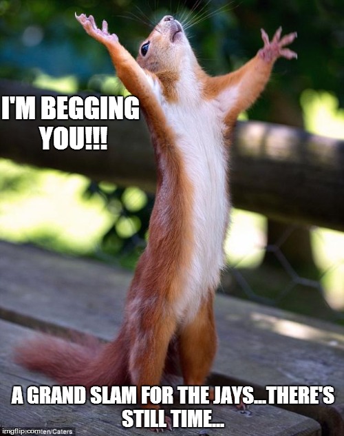 Praying Squirrel | I'M BEGGING YOU!!! A GRAND SLAM FOR THE JAYS...THERE'S STILL TIME... | image tagged in praying squirrel | made w/ Imgflip meme maker
