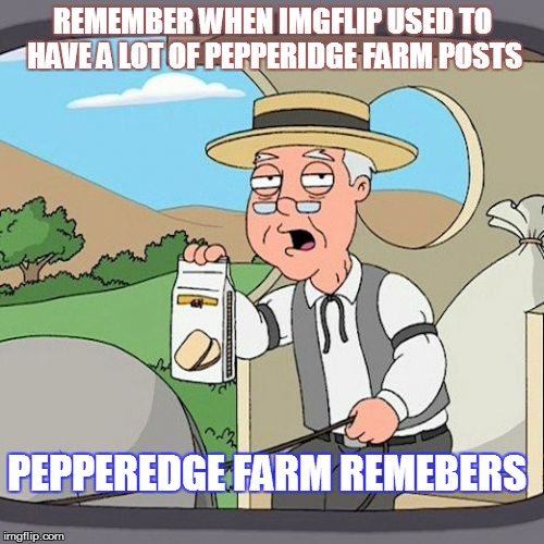 Pepperidge Farm Remembers Meme | REMEMBER WHEN IMGFLIP USED TO HAVE A LOT OF PEPPERIDGE FARM POSTS PEPPEREDGE FARM REMEBERS | image tagged in memes,pepperidge farm remembers | made w/ Imgflip meme maker