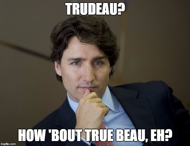 Justin Trudeau, True Beau. | TRUDEAU? HOW 'BOUT TRUE BEAU, EH? | image tagged in justin trudeau,canada,pilf | made w/ Imgflip meme maker
