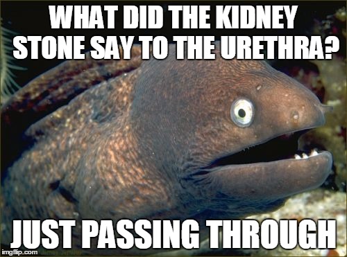 Bad Joke Eel Meme | WHAT DID THE KIDNEY STONE SAY TO THE URETHRA? JUST PASSING THROUGH | image tagged in memes,bad joke eel | made w/ Imgflip meme maker