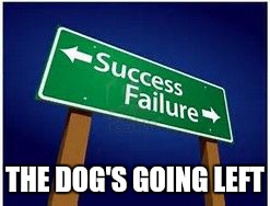 sucess vs. failure | THE DOG'S GOING LEFT | image tagged in sucess vs failure | made w/ Imgflip meme maker