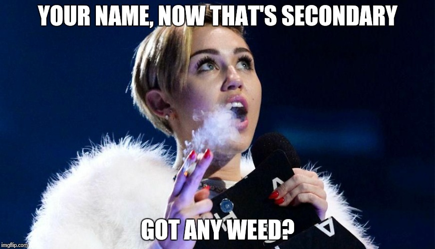 miley cyrus | YOUR NAME, NOW THAT'S SECONDARY GOT ANY WEED? | image tagged in miley cyrus | made w/ Imgflip meme maker