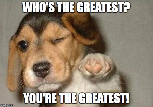 Winking Dog | WHO'S THE GREATEST? YOU'RE THE GREATEST! | image tagged in winking dog | made w/ Imgflip meme maker
