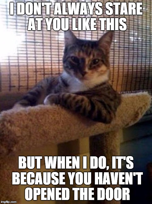 The Most Interesting Cat In The World | I DON'T ALWAYS STARE AT YOU LIKE THIS BUT WHEN I DO, IT'S BECAUSE YOU HAVEN'T OPENED THE DOOR | image tagged in memes,the most interesting cat in the world | made w/ Imgflip meme maker