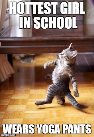 Most Males In School And College  | HOTTEST GIRL IN SCHOOL WEARS YOGA PANTS | image tagged in memes,cool cat stroll | made w/ Imgflip meme maker
