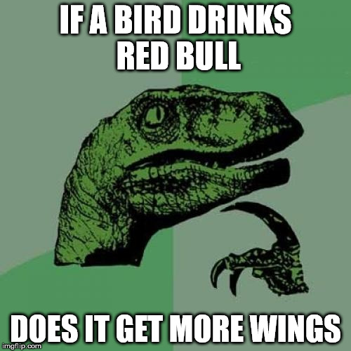 Philosoraptor | IF A BIRD DRINKS RED BULL DOES IT GET MORE WINGS | image tagged in memes,philosoraptor | made w/ Imgflip meme maker