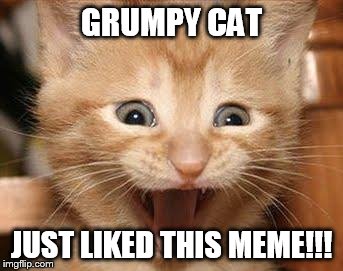 Excited Cat Meme | GRUMPY CAT JUST LIKED THIS MEME!!! | image tagged in memes,excited cat | made w/ Imgflip meme maker