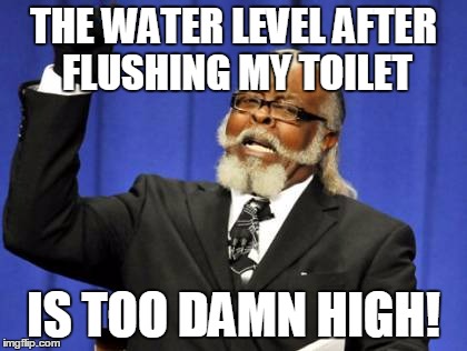 Too Damn High | THE WATER LEVEL AFTER FLUSHING MY TOILET IS TOO DAMN HIGH! | image tagged in memes,too damn high | made w/ Imgflip meme maker