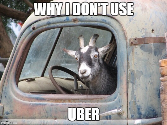 GoatDriving | WHY I DON'T USE UBER | image tagged in goatdriving | made w/ Imgflip meme maker