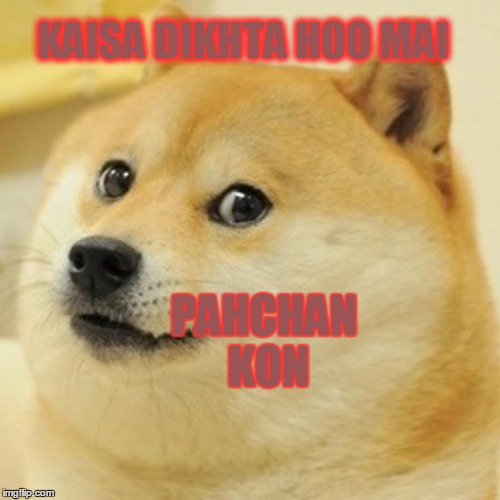 Doge Meme - Imgflip