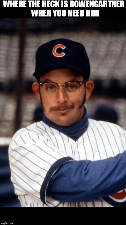 Cubs dan stern | WHERE THE HECK IS ROWENGARTNER  WHEN YOU NEED HIM | image tagged in cubs dan stern | made w/ Imgflip meme maker