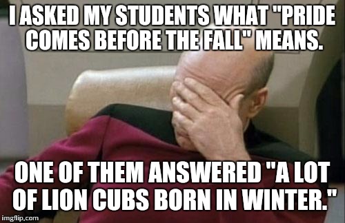 Captain Picard Facepalm Meme | I ASKED MY STUDENTS WHAT "PRIDE COMES BEFORE THE FALL" MEANS. ONE OF THEM ANSWERED "A LOT OF LION CUBS BORN IN WINTER." | image tagged in memes,captain picard facepalm | made w/ Imgflip meme maker