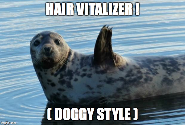 Seal | HAIR VITALIZER ! ( DOGGY STYLE ) | image tagged in seal | made w/ Imgflip meme maker