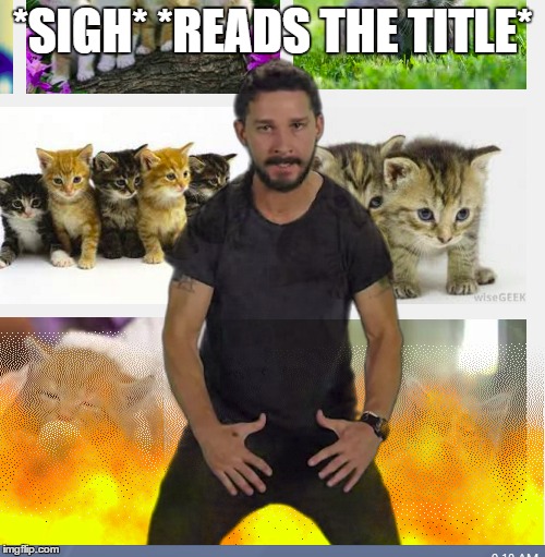 wtf am I even doing with my life... | *SIGH* *READS THE TITLE* | image tagged in shia labeouf just do it | made w/ Imgflip meme maker