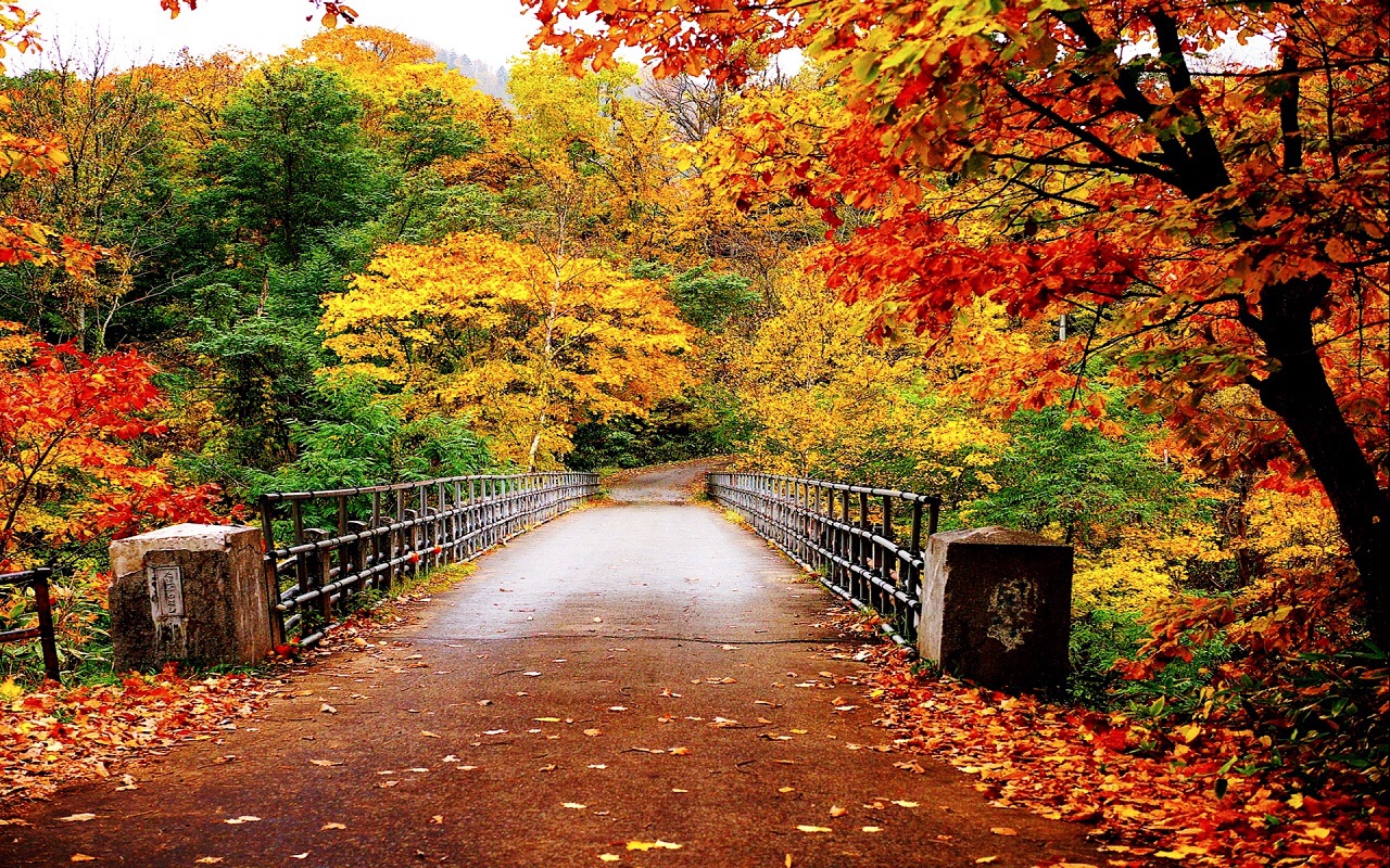 Autumn bridge Blank Meme Template