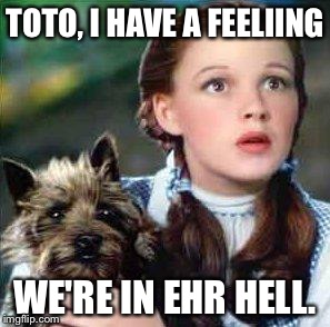 dorothy | TOTO, I HAVE A FEELIING WE'RE IN EHR HELL. | image tagged in dorothy | made w/ Imgflip meme maker