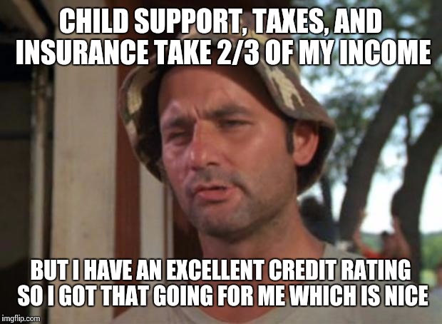 What good is great credit if you have no means of repaying a loan? | CHILD SUPPORT, TAXES, AND INSURANCE TAKE 2/3 OF MY INCOME BUT I HAVE AN EXCELLENT CREDIT RATING SO I GOT THAT GOING FOR ME WHICH IS NICE | image tagged in memes,so i got that goin for me which is nice,AdviceAnimals | made w/ Imgflip meme maker