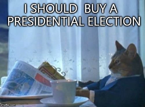 I Should Buy A Boat Cat | I SHOULD  BUY A  PRESIDENTIAL ELECTION | image tagged in memes,i should buy a boat cat | made w/ Imgflip meme maker