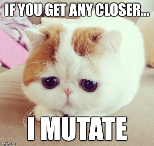 sad cat 2 | IF YOU GET ANY CLOSER... I MUTATE | image tagged in sad cat 2 | made w/ Imgflip meme maker
