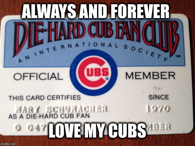 No matter what... | ALWAYS AND FOREVER LOVE MY CUBS | image tagged in baseball | made w/ Imgflip meme maker