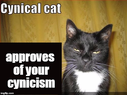 approves of your cynicism | made w/ Imgflip meme maker