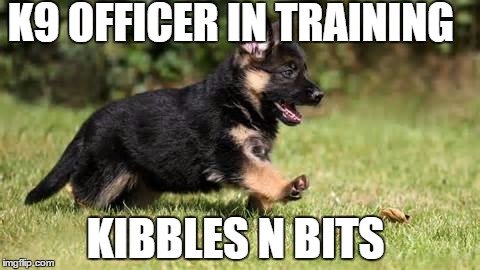 K9 OFFICER IN TRAINING KIBBLES N BITS | image tagged in cops,dogs,crime | made w/ Imgflip meme maker