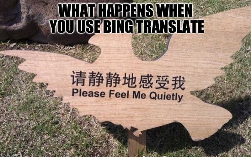 Please feel me quietly | WHAT HAPPENS WHEN YOU USE BING TRANSLATE | image tagged in please feel me quietly | made w/ Imgflip meme maker