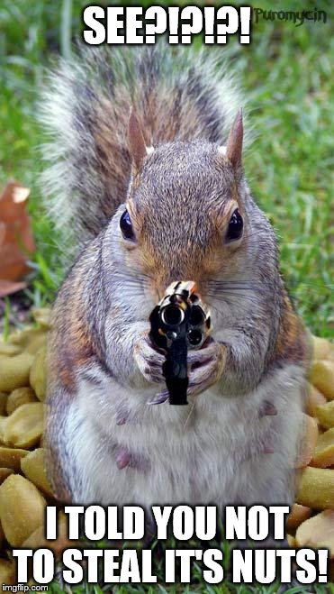 Angry squirrel | SEE?!?!?! I TOLD YOU NOT TO STEAL IT'S NUTS! | image tagged in funny squirrels with guns 5 | made w/ Imgflip meme maker