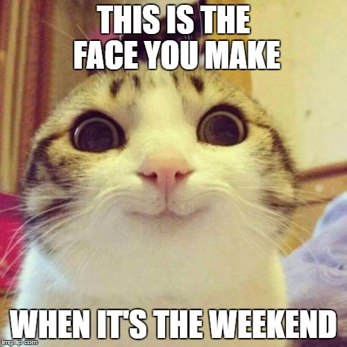 Smiling Cat | THIS IS THE FACE YOU MAKE WHEN IT'S THE WEEKEND | image tagged in memes,smiling cat | made w/ Imgflip meme maker