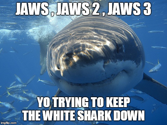 Jaws aint right  | JAWS , JAWS 2 , JAWS 3 YO TRYING TO KEEP THE WHITE SHARK DOWN | image tagged in ghetto,shark | made w/ Imgflip meme maker