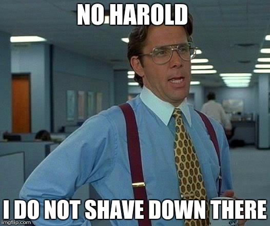 That Would Be Great | NO HAROLD I DO NOT SHAVE DOWN THERE | image tagged in memes,that would be great | made w/ Imgflip meme maker